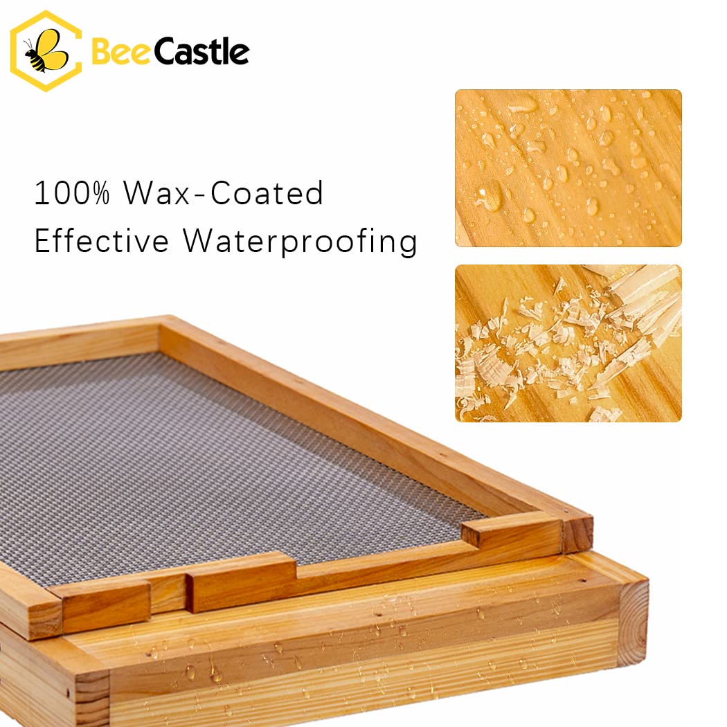 BeeCastle FSC-certified wood bottom board supports sustainable beekeeping.