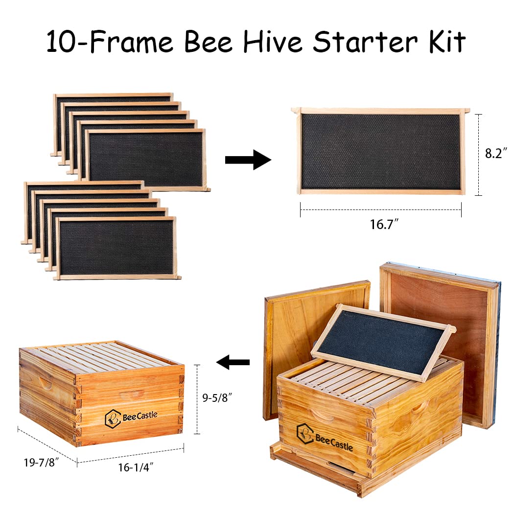 BeeCastle beekeeping tool kit includes smoker and frame holder for hive tasks