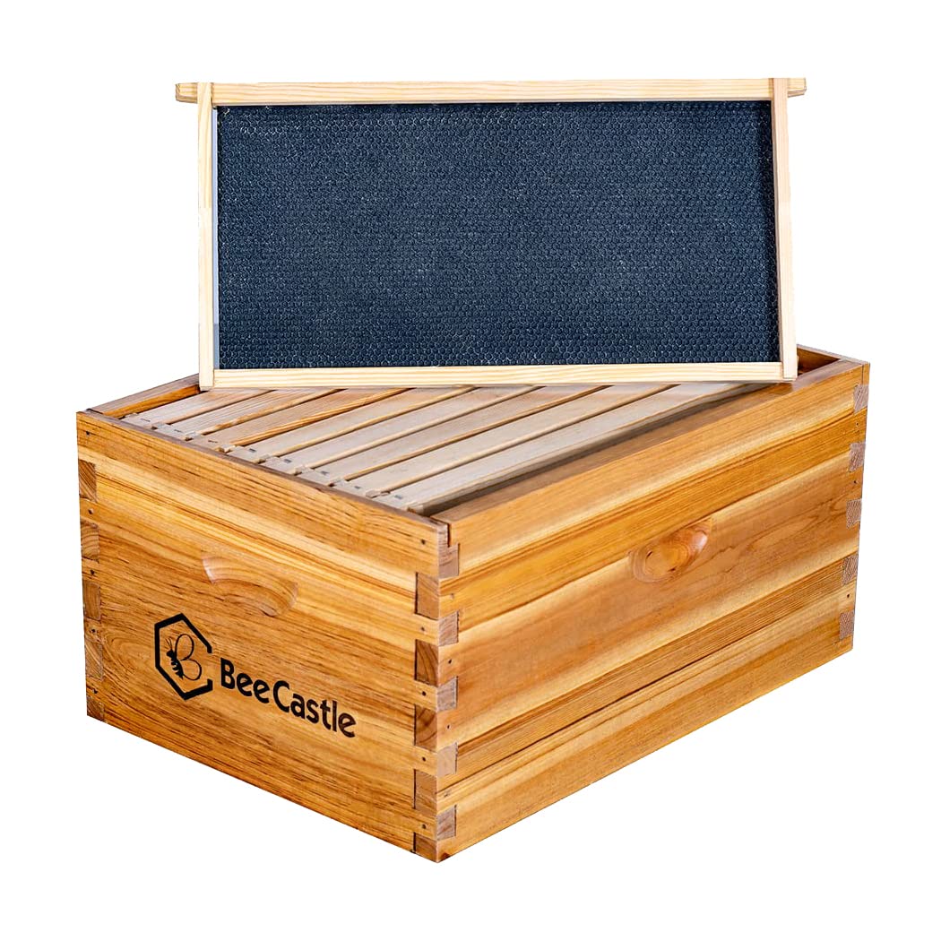 BeeCastle beeswax coating closeup showing enhanced durability