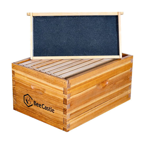 BeeCastle beeswax coating closeup showing enhanced durability