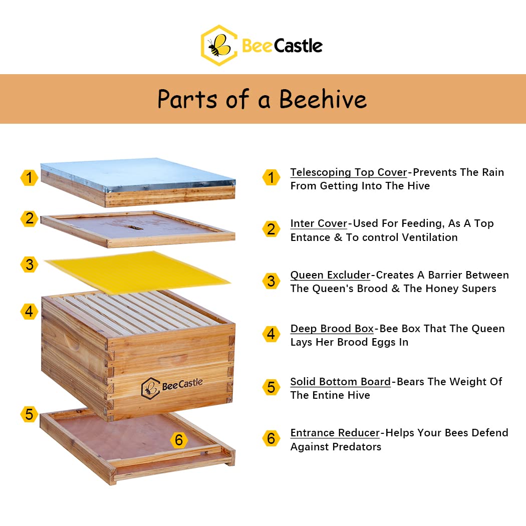 BeeCastle cedarwood exterior beehive demonstrates durability and quality