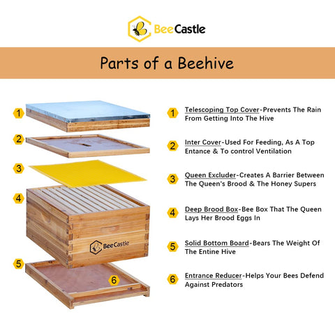 BeeCastle cedarwood exterior beehive demonstrates durability and quality