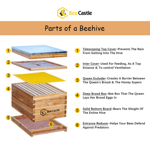 BeeCastle cedarwood hive parts coated with beeswax resist warping.