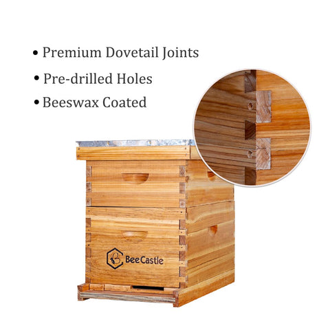 BeeCastle cedarwood design offers stable insulation for year-round bees
