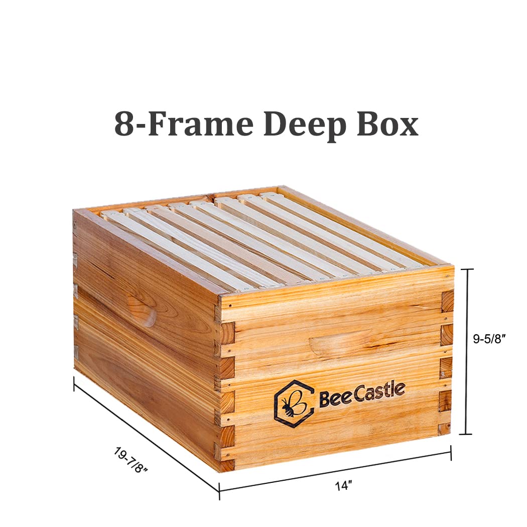 BeeCastle deep brood box and medium super box following Langstroth sizing