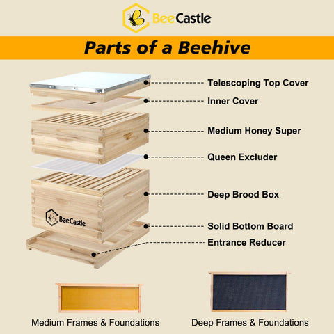 BeeCastle deep brood box demonstrates durable solid fir construction for long lasting brood space