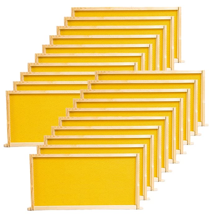 BeeCastle deep hive frame assembly for easy Langstroth hive setup