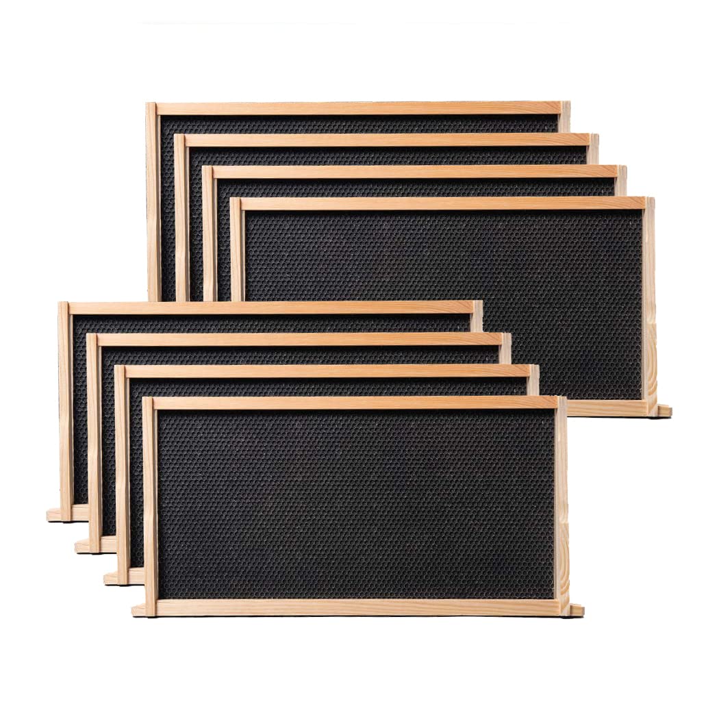 BeeCastle FSC-certified cedarwood hive box for responsible sourcing