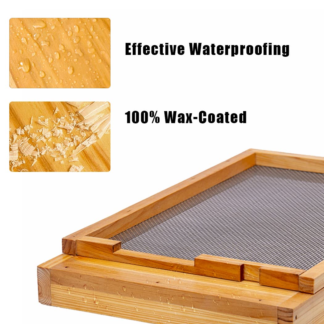 BeeCastle FSC-certified wood bottom board supports sustainable construction