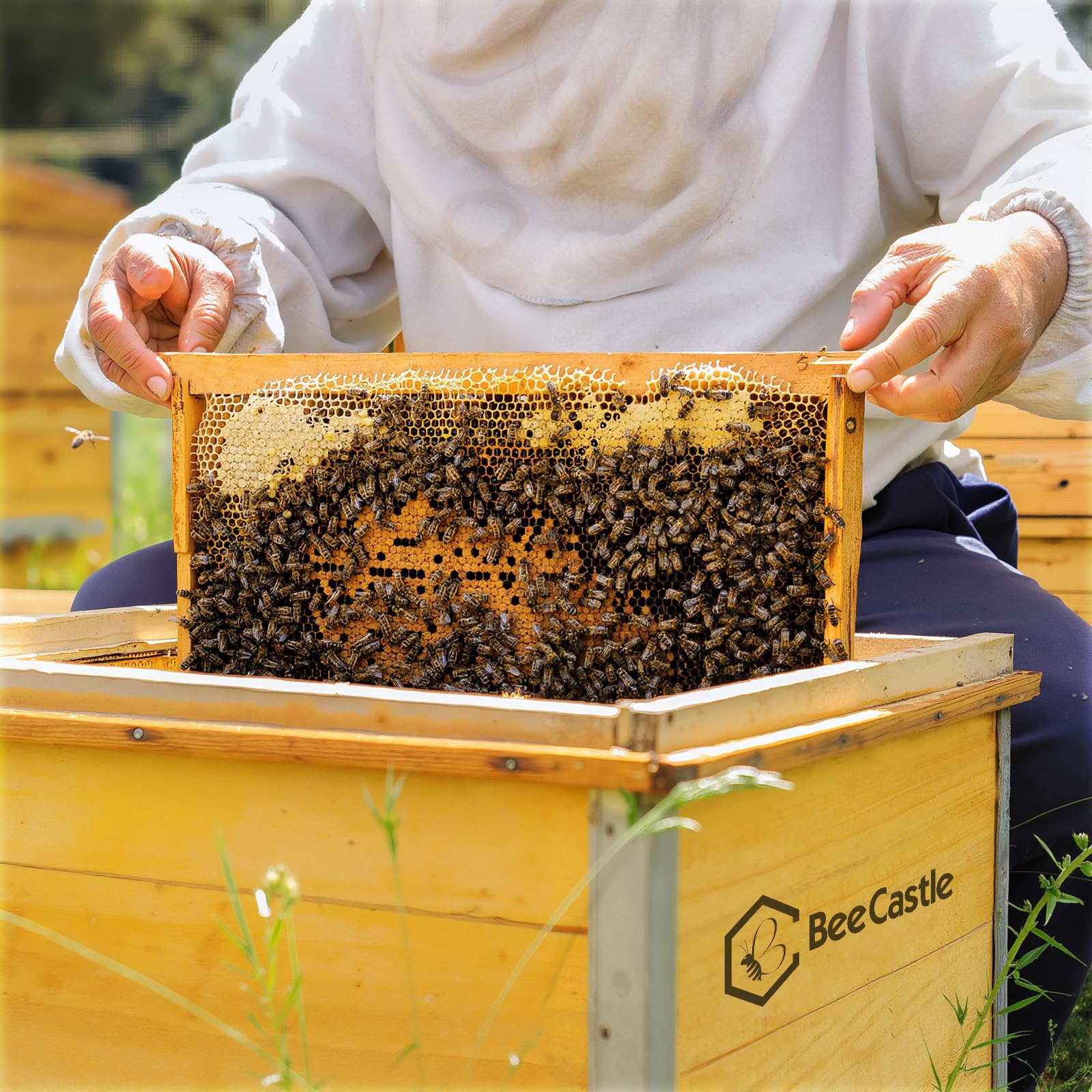 BeeCastle FSC-certified wood frame supports sustainable beekeeping
