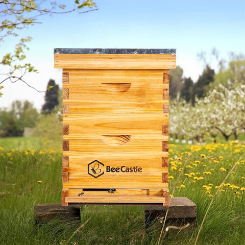 BeeCastle FSC-certified wood supports sustainable beekeeping with high-quality frames