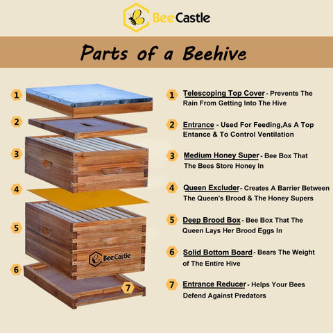 BeeCastle hive with dovetail joints for tight, sturdy assembly