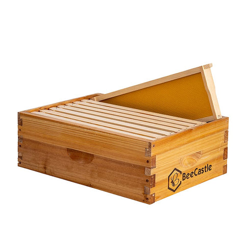 Includes eight frames and foundations for immediate hive setup.