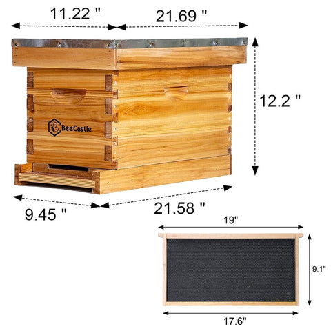 BeeCastle Langstroth 5-frame nuc size fits standard hive setups.