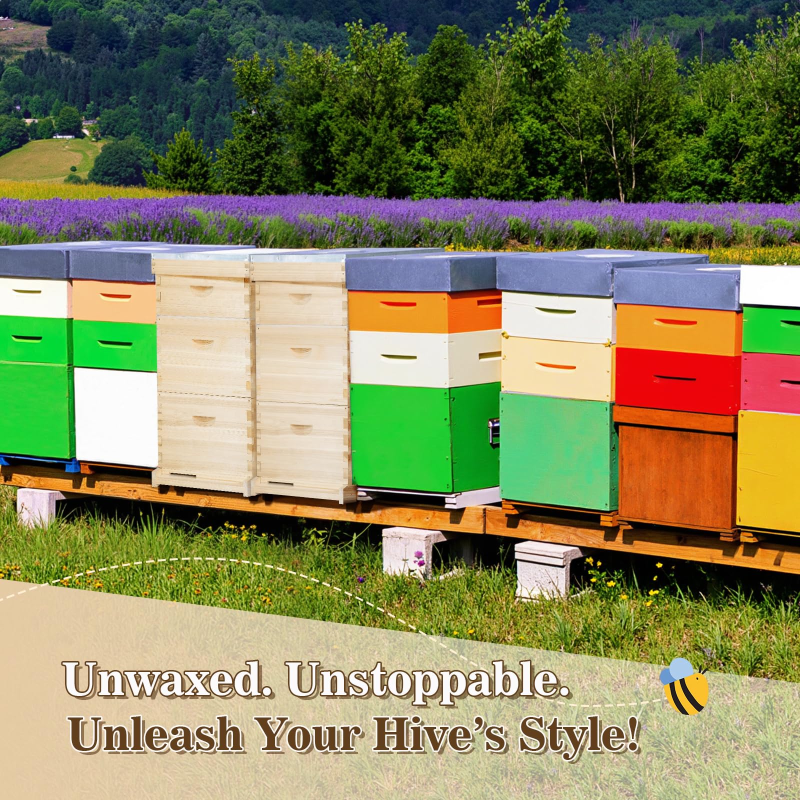 BeeCastle packaged kit includes essential components for quick assembly and reliable hive setup