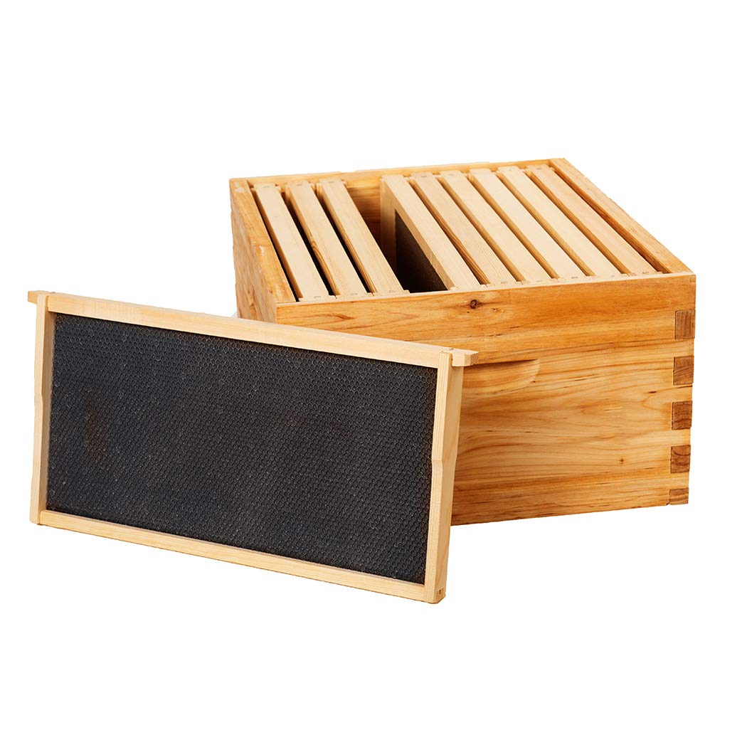 BeeCastle pre cut dovetail joints for secure, easy assembly