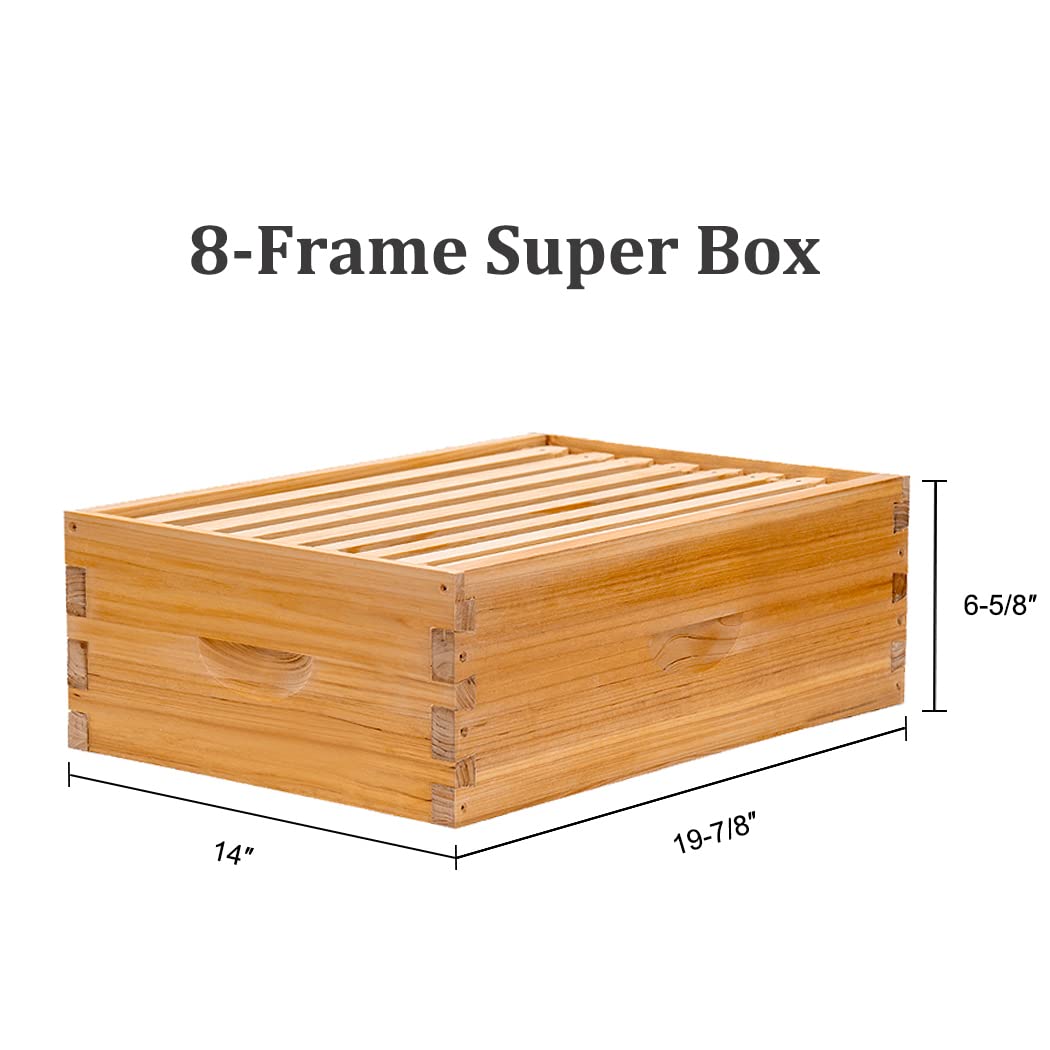 BeeCastle starter kit includes core components for quick hive setup