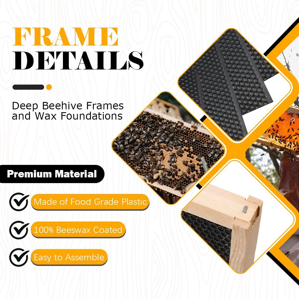 BeeCastle wax-coated foundations for efficient comb-building with beeswax