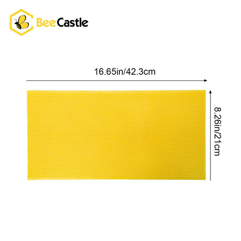 BeeCastle foundation set of 10 sheets highlighting value for beekeepers.