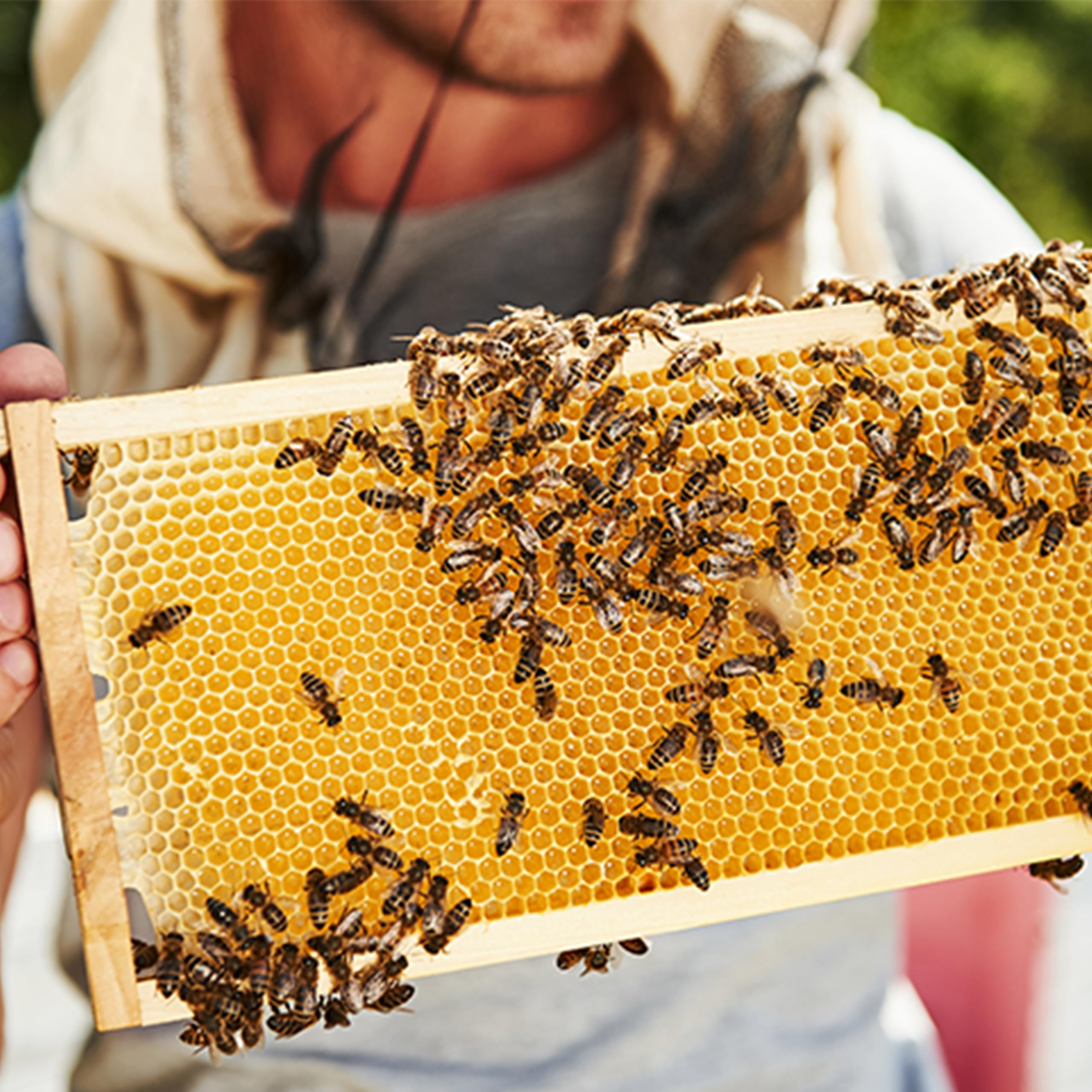 BEEINN responsive customer support for beekeeping supplies