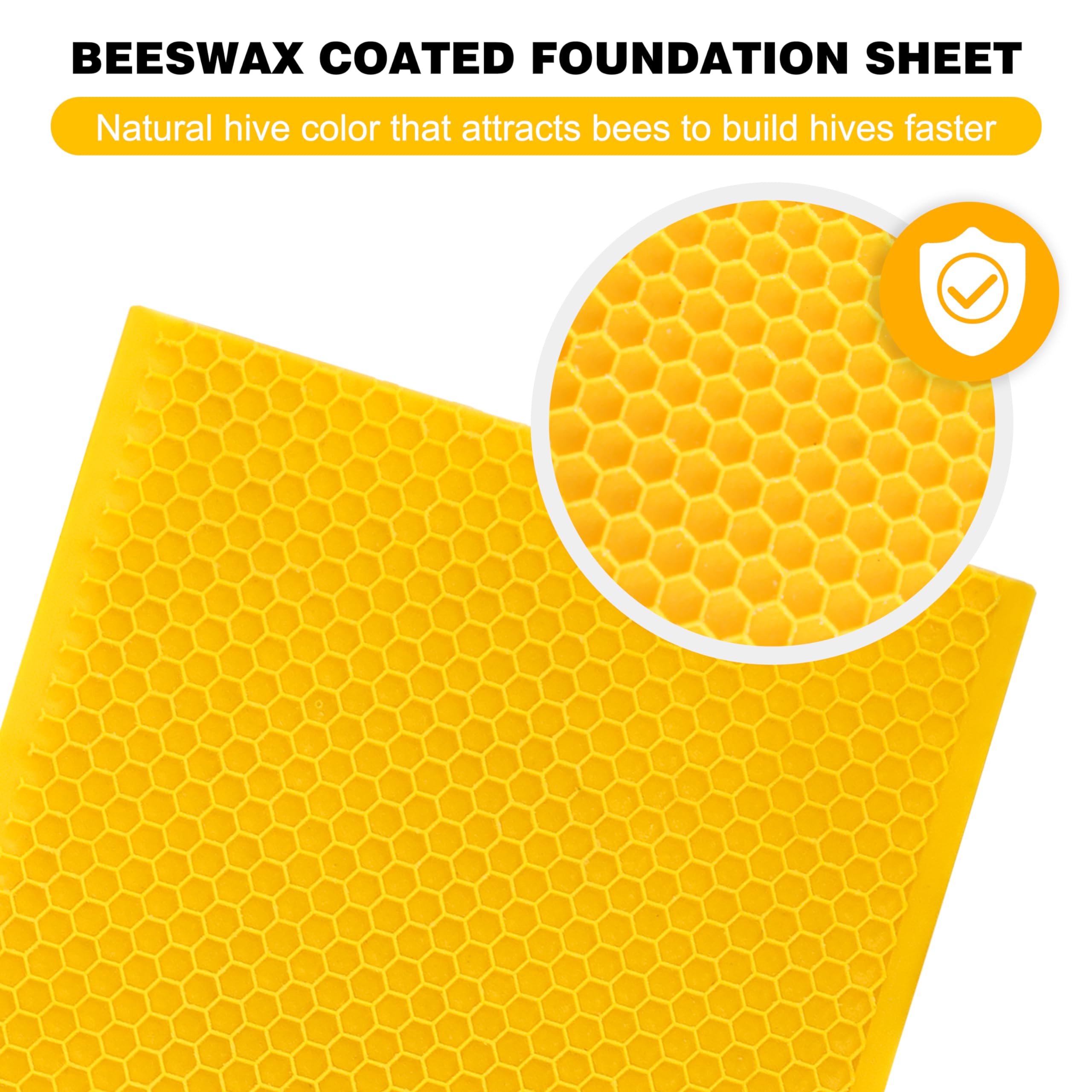 Easy-slide foundation sheet being inserted into a medium beehive frame.