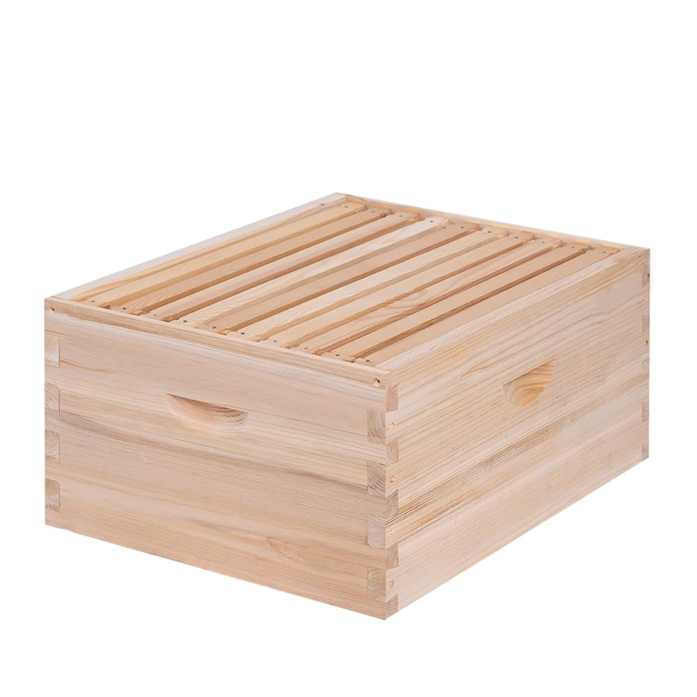 Beeinn 10-frame deep box in cedar wood for durable brood habitat.