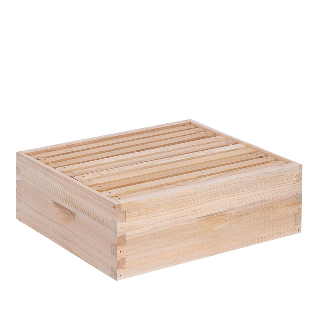 BeeINN 10-frame super box in cedar wood for durable construction.