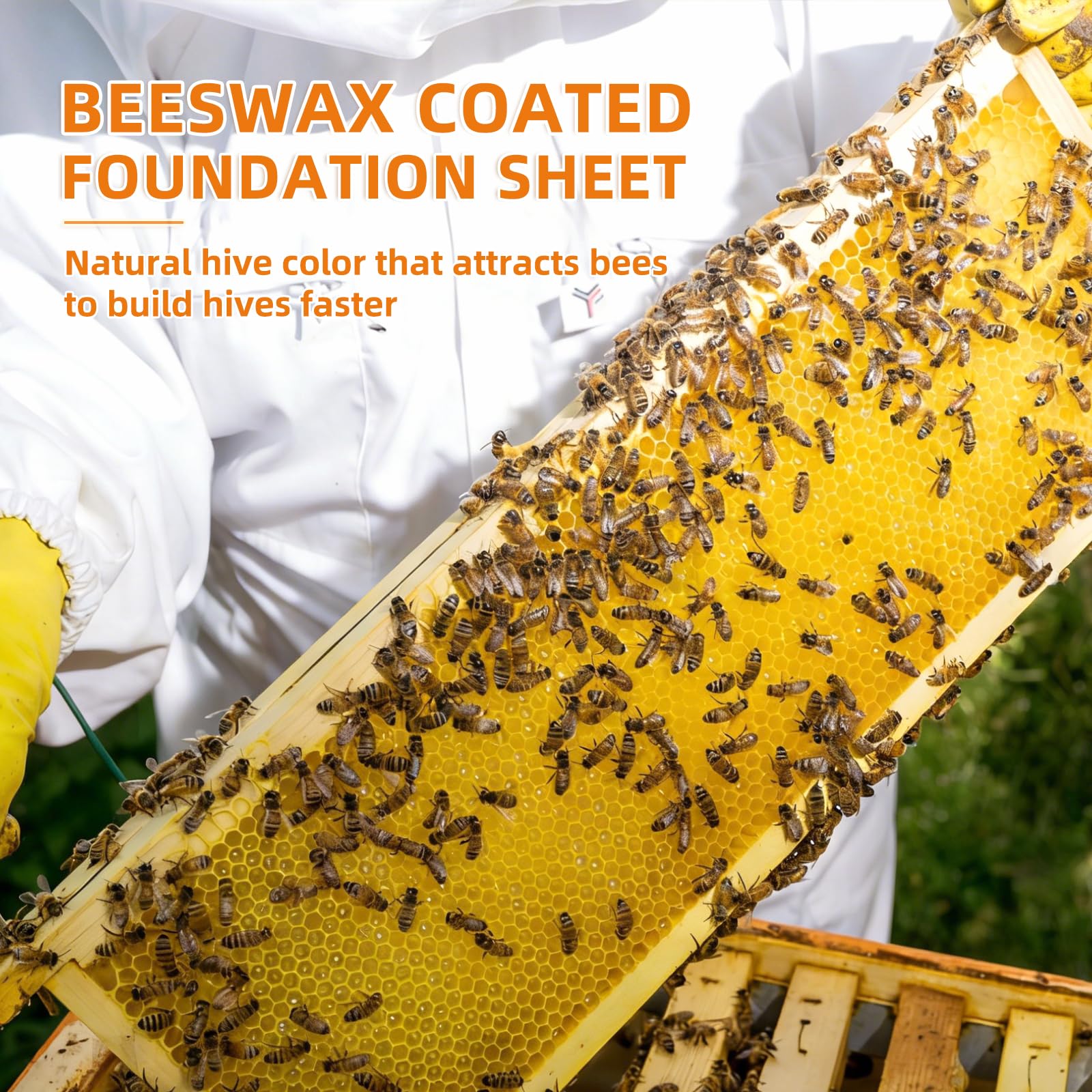 Beeinn wax-coated sheets come in a 10-pack for hive setup