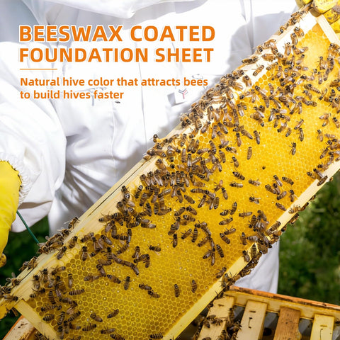 Beeinn wax-coated sheets come in a 10-pack for hive setup