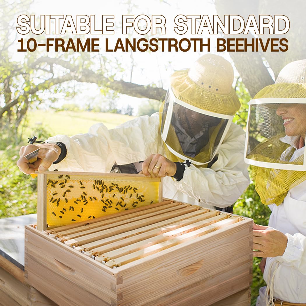 Beeinn Deep box with side handles for easy transport and hive maintenance.