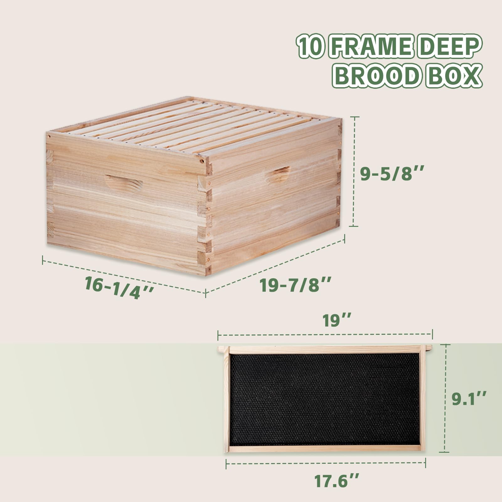 BEEINN deep brood hive box with frames supports brood growth.
