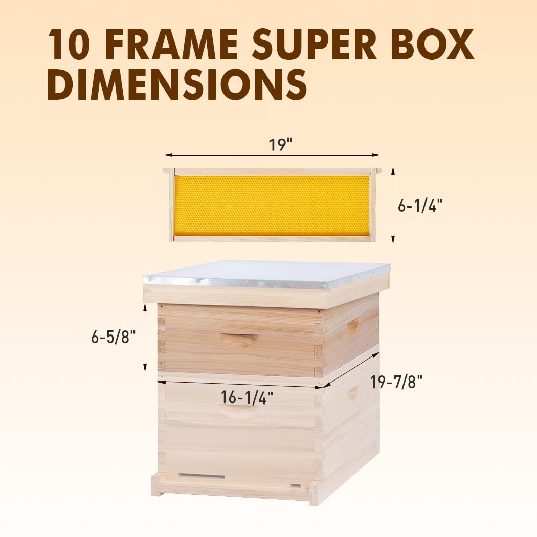 Removable frames with beeswax-coated foundations included.