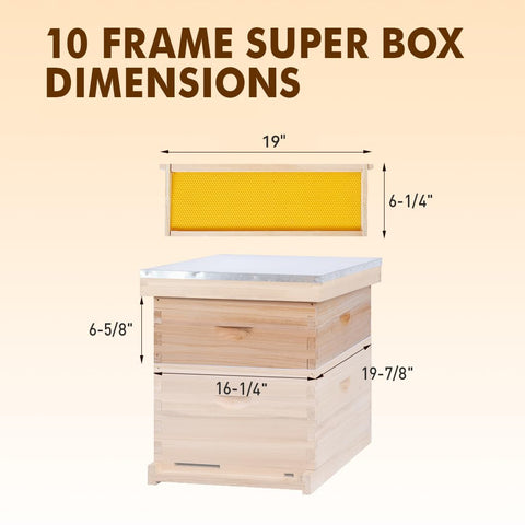 Removable frames with beeswax-coated foundations included.