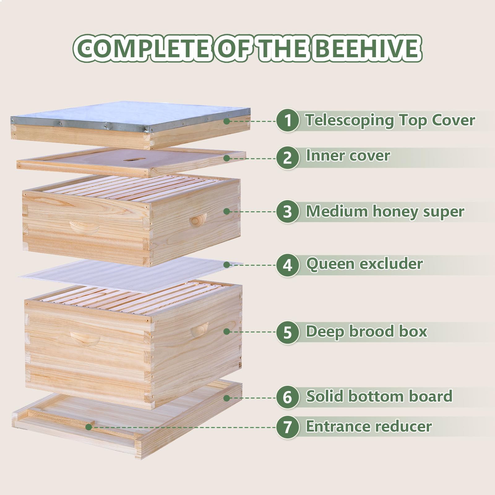 BEEINN medium super box with frames for easy hive expansion.