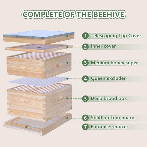 BEEINN medium super box with frames for easy hive expansion.