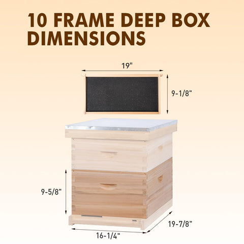 Beeinn Removable wood frames with beeswax-coated foundations support fast colony building.