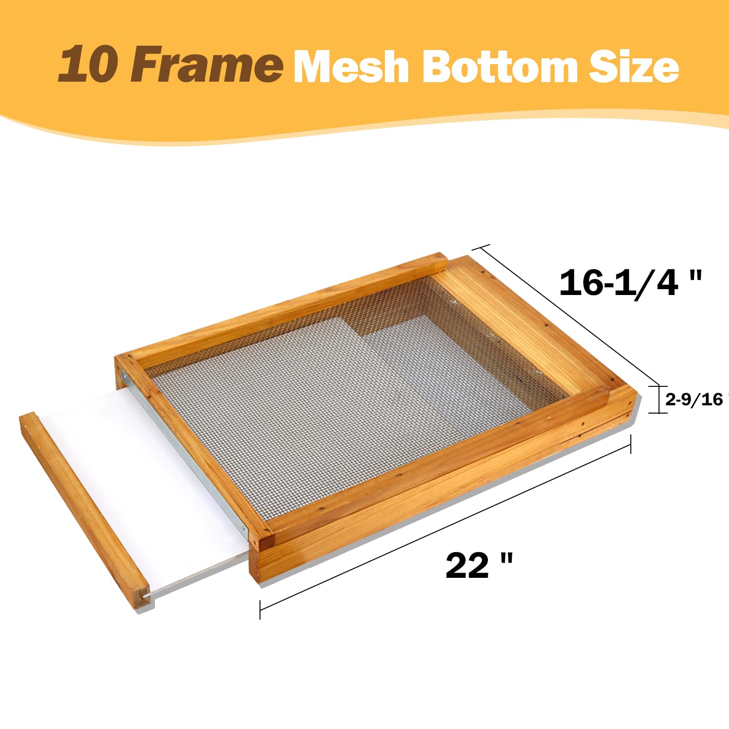 BeeKNOWS Langstroth-compatible bottom board fits 10-frame hives precisely.