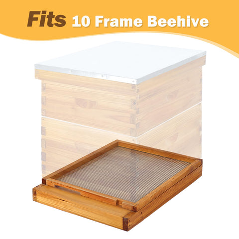 BeeKNOWS natural wood and beeswax coating with enhanced airflow supports a healthy hive.