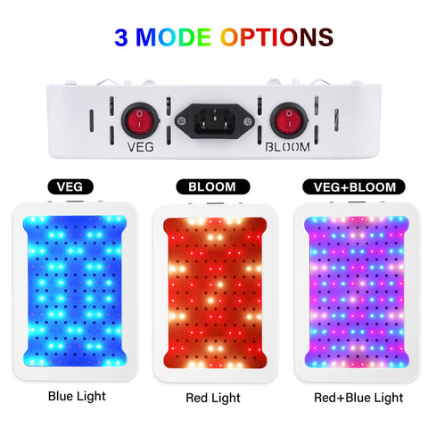 Beelux 4x4-area coverage demonstrates efficient garden lighting