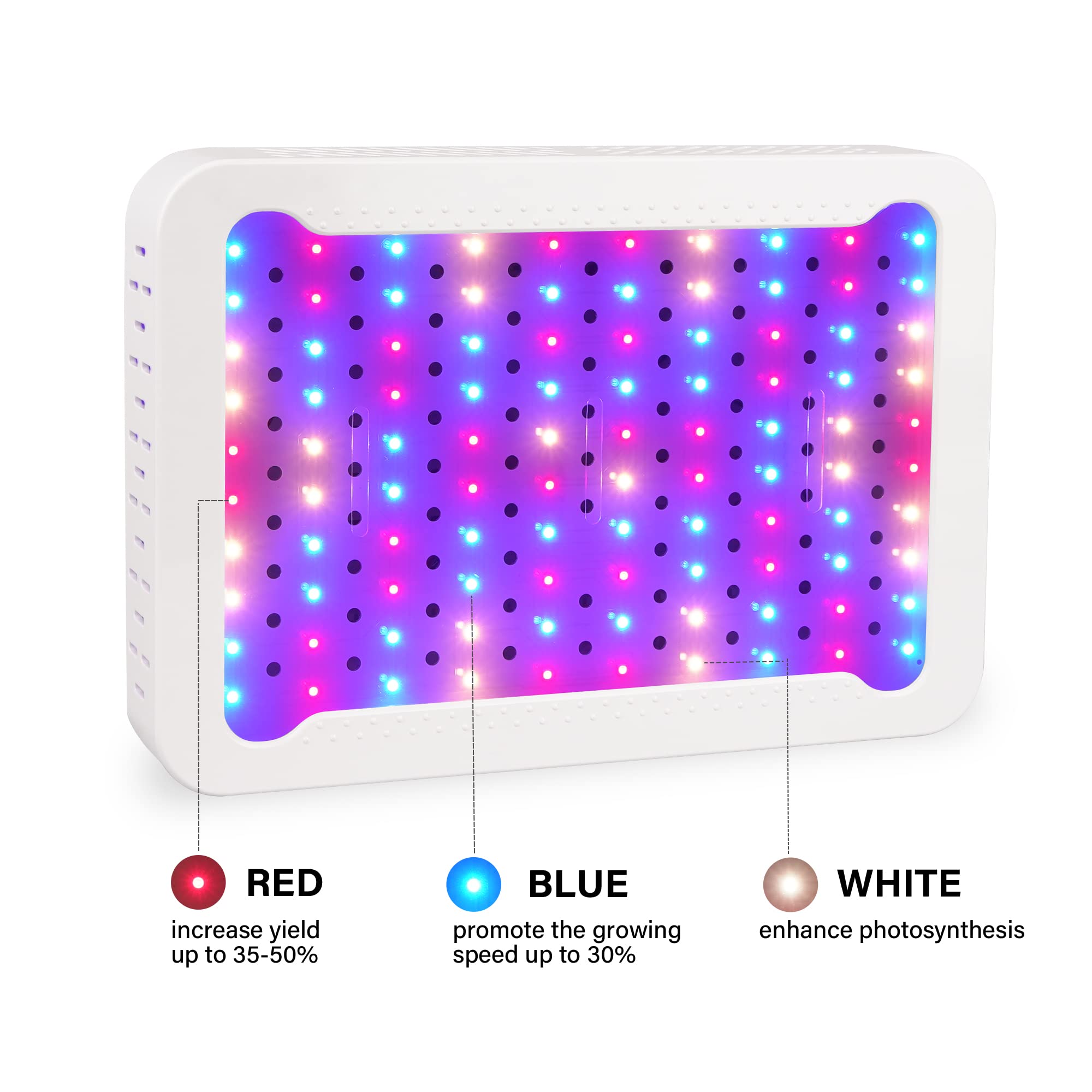 Beelux LED grow light installed in a tent supports year-round harvest