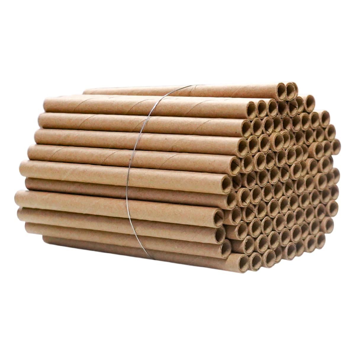 BeeQuestify mason bee tubes show 6 inch length for easy nesting