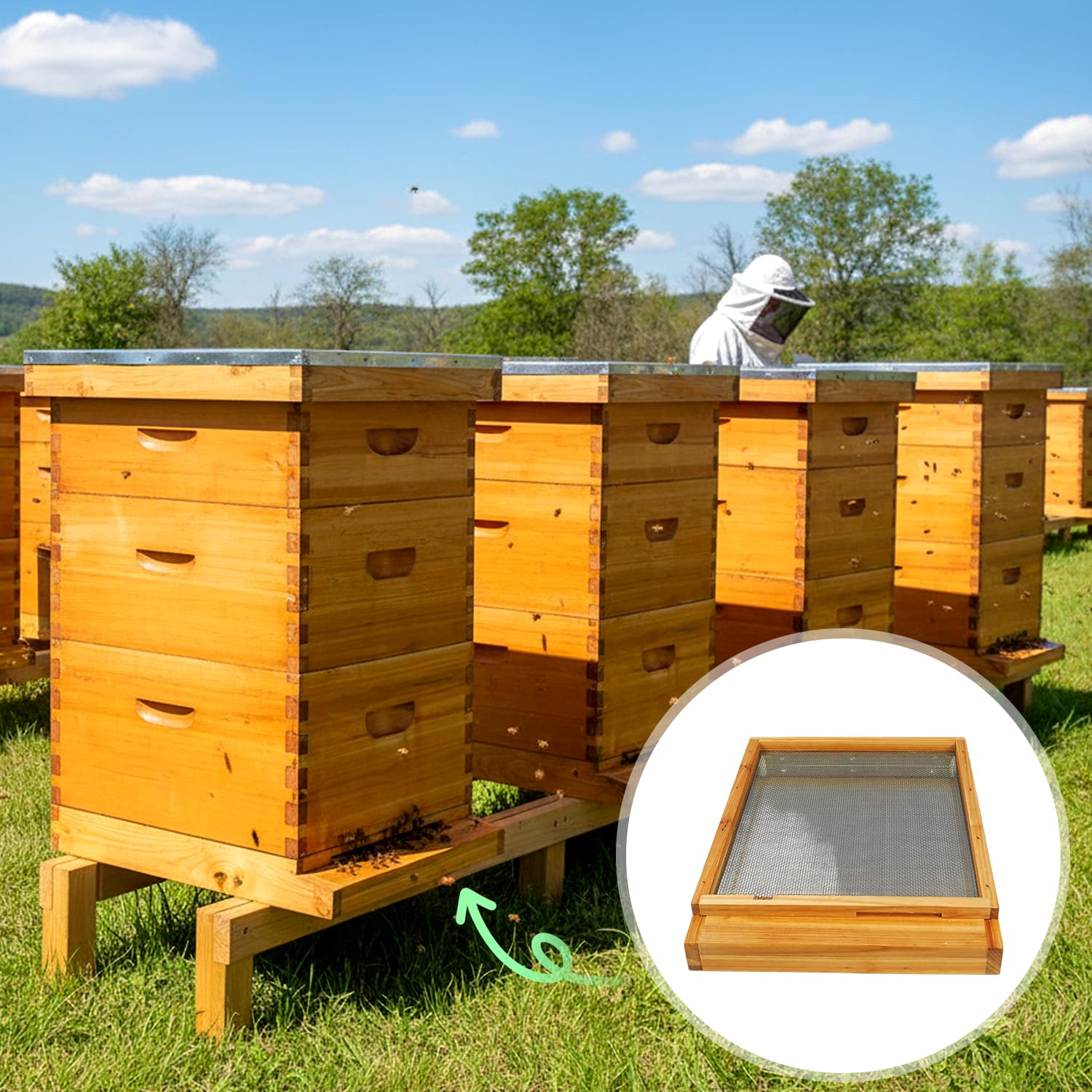 BeeQuestify woven mesh promotes ventilation and humidity control in the hive.