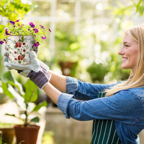Beeveer makes a thoughtful gift for plant lovers and decor fans