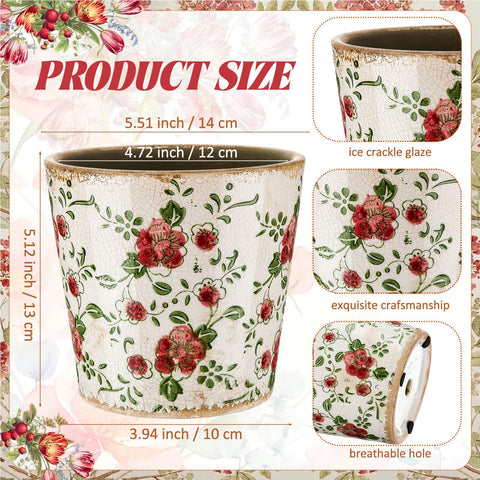 Beeveer ceramic pot is durable for indoor and outdoor use
