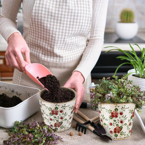 Beeveer wide mouth design makes planting and removal easy