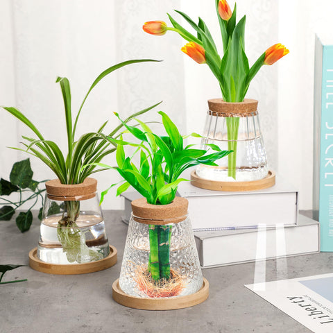 Beeveer glass terrariums add a stylish focal point
