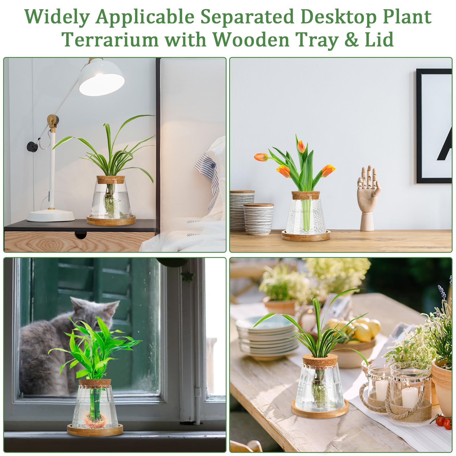 Beeveer propagation station makes a thoughtful gift for plant lovers