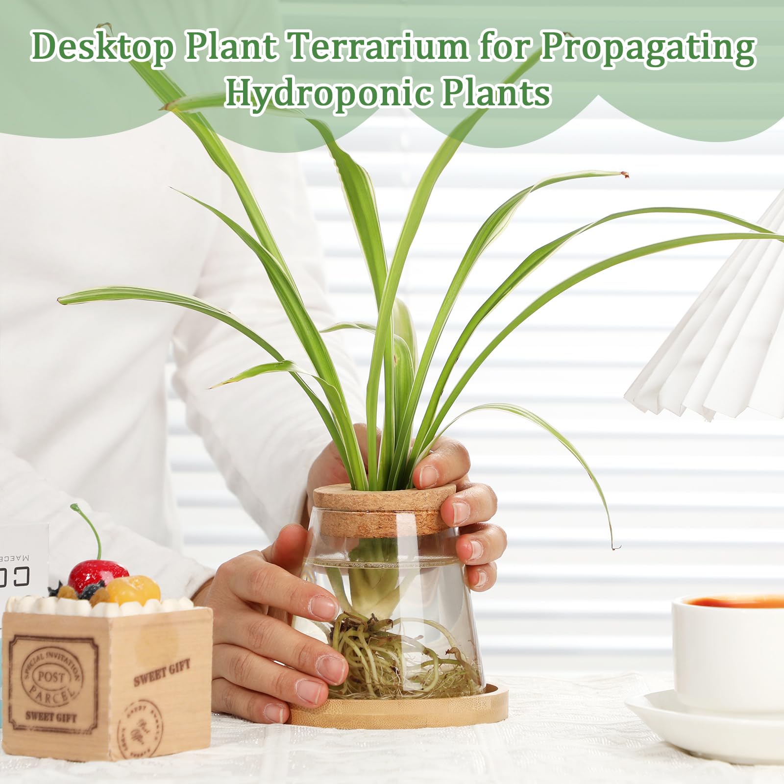 Beeveer propagation station in three shapes invites diverse plants