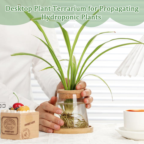 Beeveer propagation station in three shapes invites diverse plants