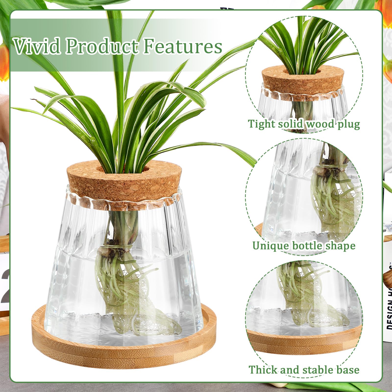 Beeveer jars on windowsill or desk enable easy viewing